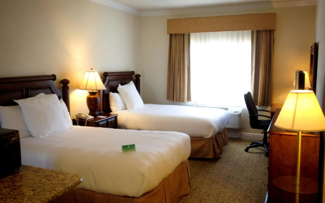 Amelia Hotel at the Beach