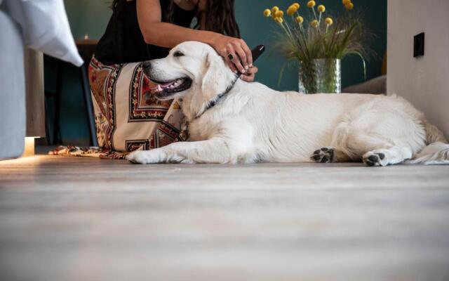 Sambucus Apartments -Premium Apartments for You and Your Dog