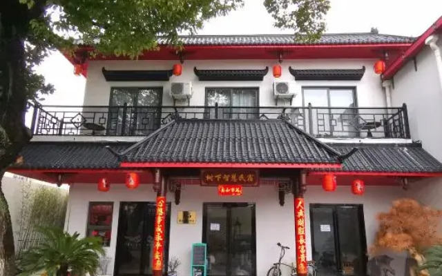 Shanghai Wisdom Hostel Under the Tree