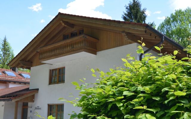 Bright and Modern Apartment in the Beautiful Berchtesgadener Land With Fireplace