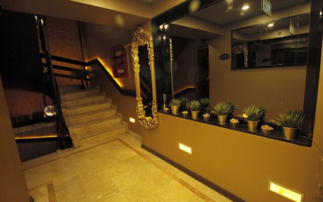 Elegant House
