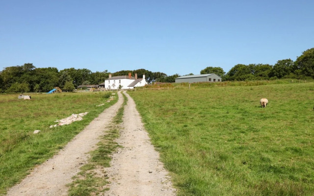The Barton