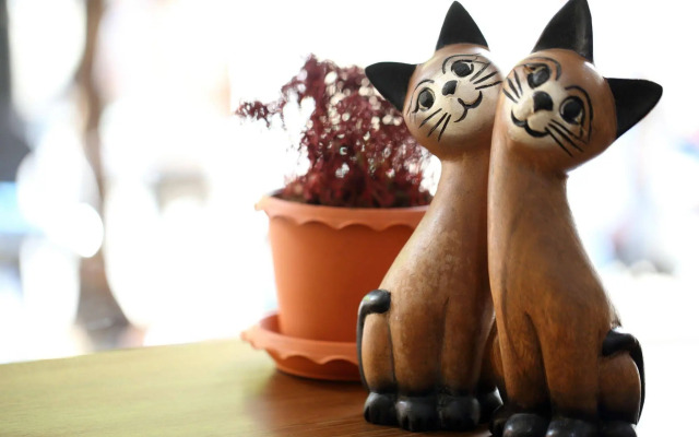 Thai Cat Hostel BB Bangkok