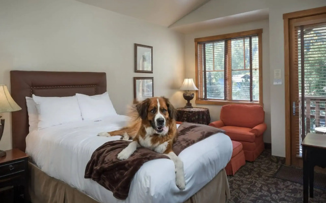 The Hotel Telluride