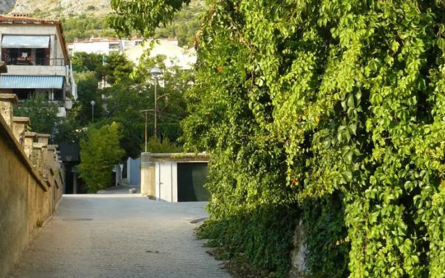 Luma Studio