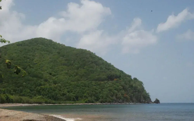 Bungalow PAPAYE