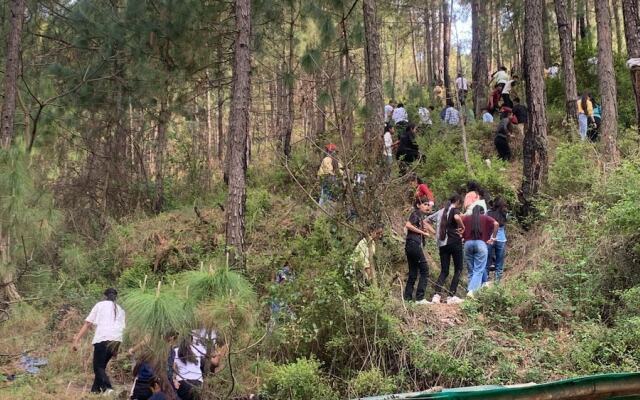 Pine Trails Jungle Camp