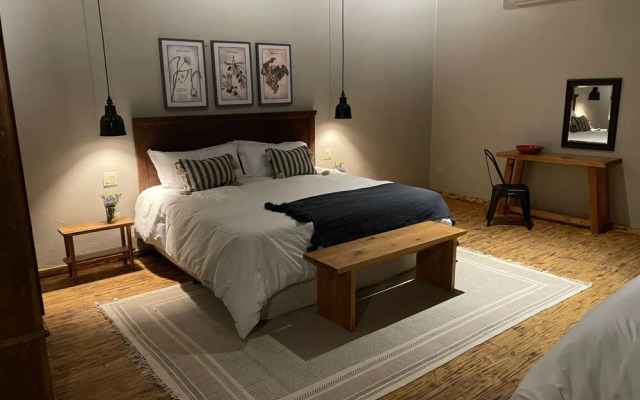 Alma Liebre Viñedos del Valle