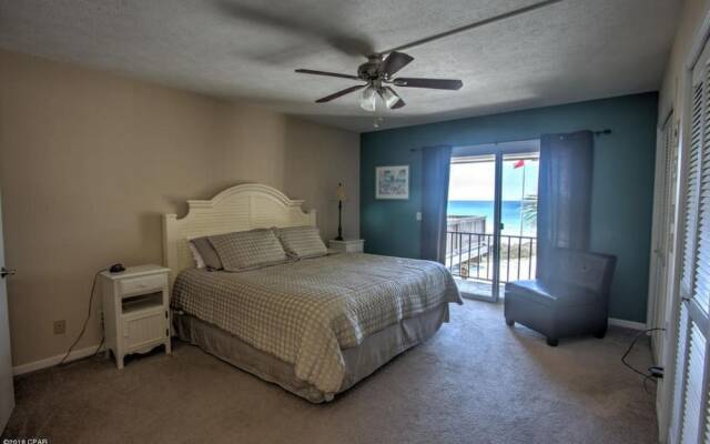 Sunbird Paradise - 1383972