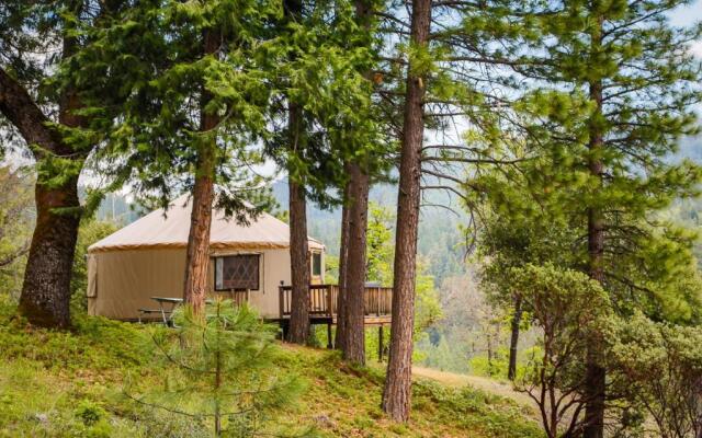 Yosemite Lakes Hillside Yurt 14