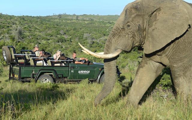 Kariega Game Reserve - Main Lodge