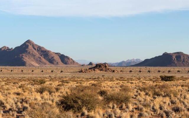 Desert Quiver Camp