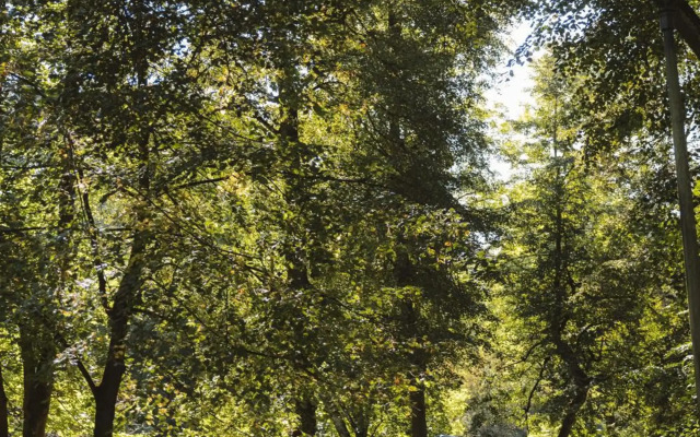 Spacious New Loft in Vilnius Old Town by IVIS House