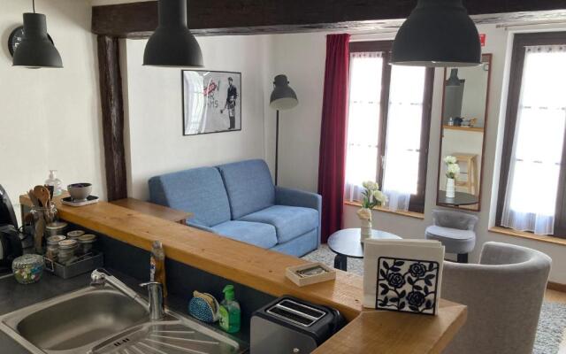 T3 duplex hyper centre ville historique troyes