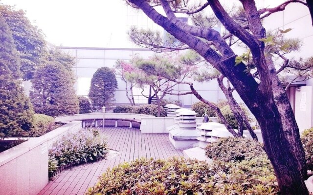 Sheraten House with Rooftop Garden