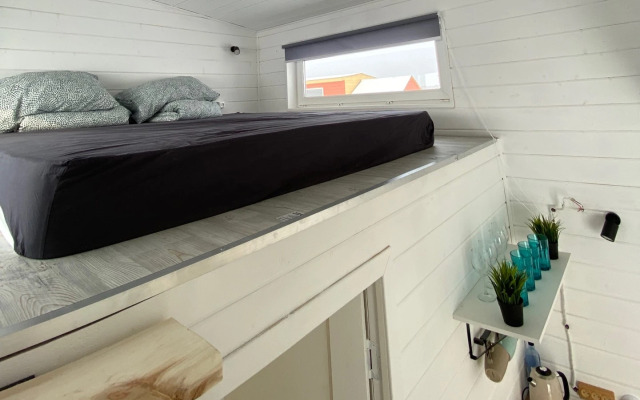 Биг Вейв Кэмп