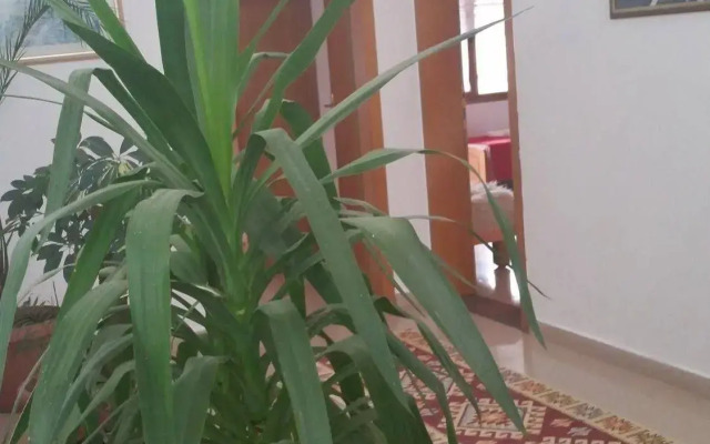 Hotel Berati