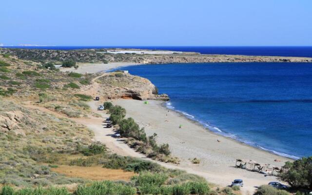 Traditional Olive House