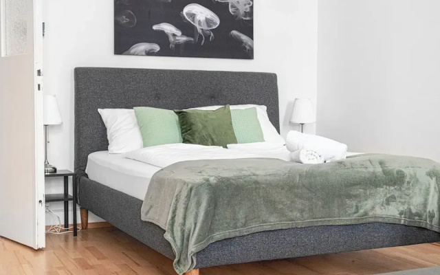 Cute 2BR Apt Near AKH Hospital Central