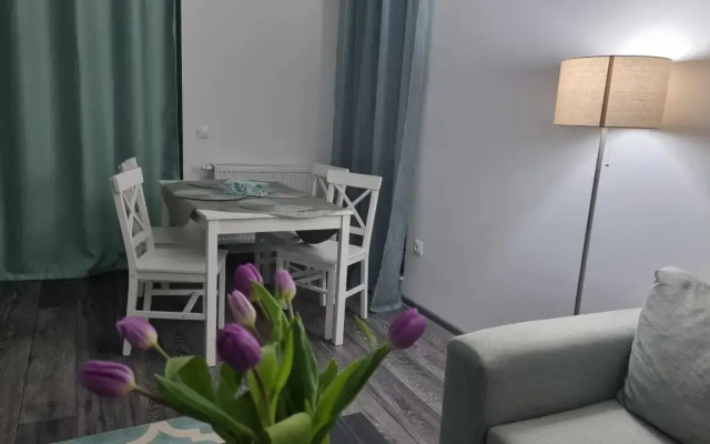Swan Brasov Apartment