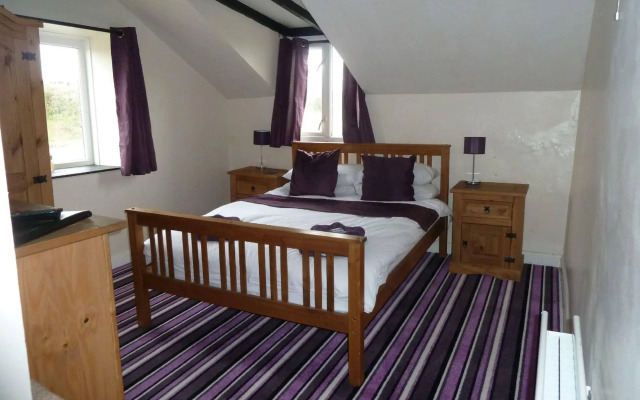 Mid Wales Inn