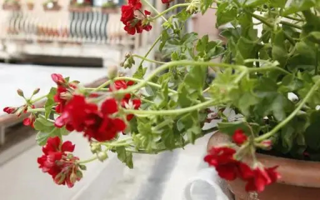 I Soffitti Dimora Esclusiva