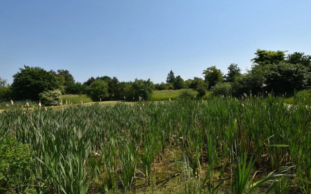 Rustic-style Apartment in Buschenhagen With Garden