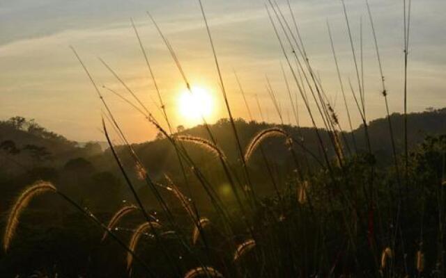 Orchard Wellness Safari Suites