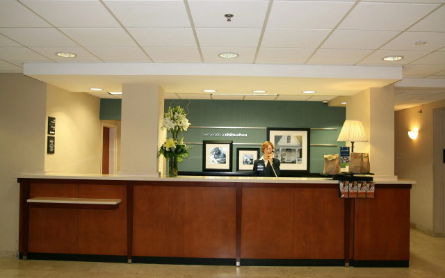 Hampton by Hilton Chihuahua