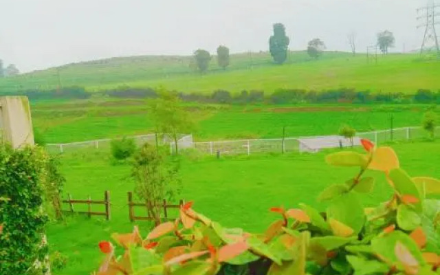 Fitness De Royale Organic County