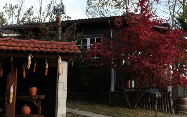 Vasilikia Mountain Farm & Retreat