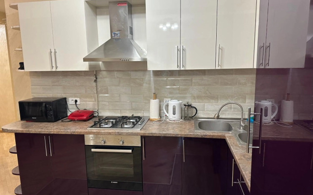 Comfortable apartment in center