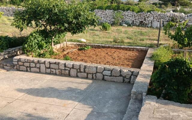 Mario - With Garden - A1