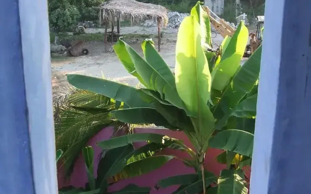Inviting 1-bed Apartment in Sayulita