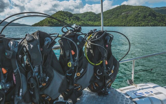 Coral Sea Dreaming Dive and Sail