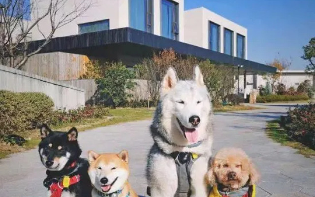 Blossom House Yangshan Wuxi