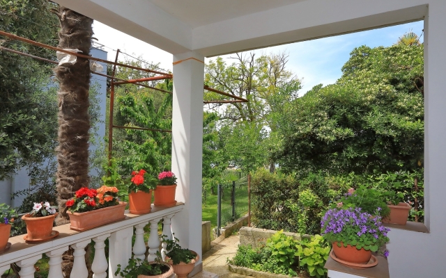 Room Aleksandra - 10 m from sea: R7 Bibinje, Zadar riviera