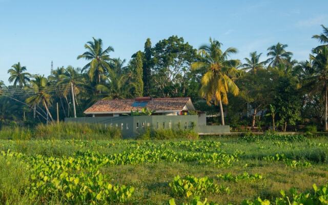 Romantic Honeymoon Villa Overlooking Rice Fields