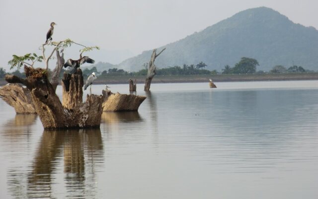 Suwanila Rest