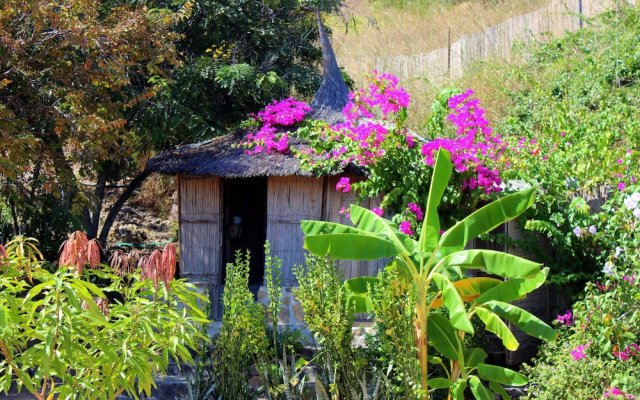 Mango Drift Lodge - Hostel