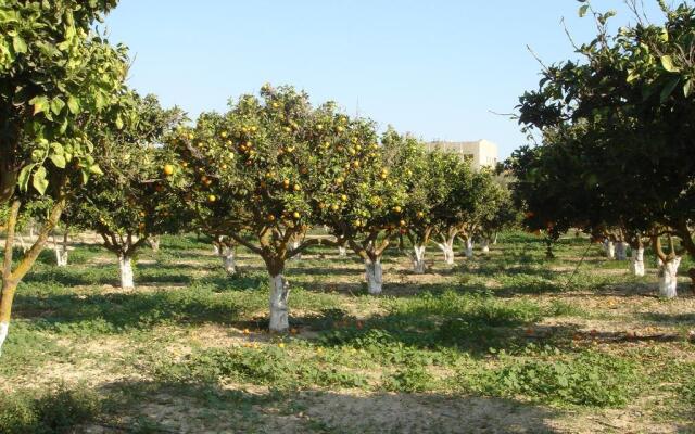 Hadjios Valley