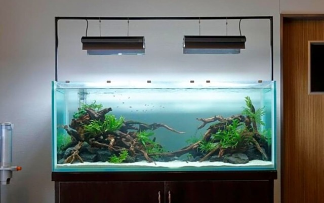 Amistad Hotel - Vacation STAY 82678