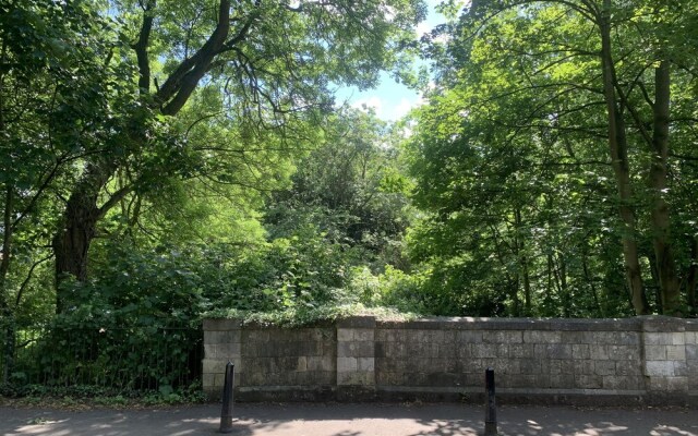 Time is Now! Beautiful Apartment in York