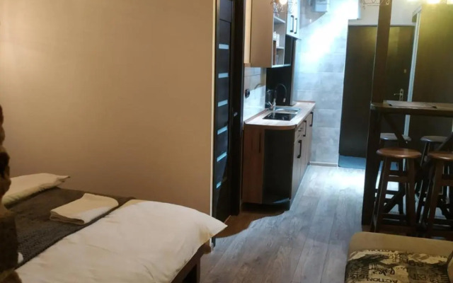 Loft апартаменти з балконом в центрі Львова