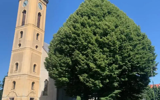 Apartmán na horách