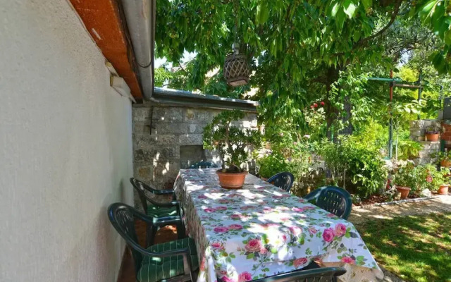Spacious Apartment With Garden