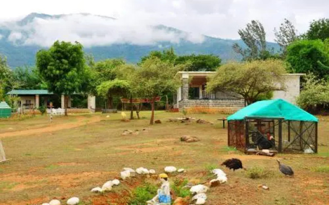Kings Wild Retreat