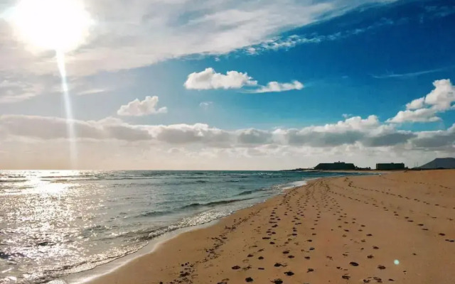 International Surf School & Camp - Hostel