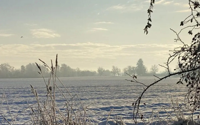 Lady and the Tramp Comfortable Vacation Home