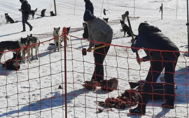 La Petite Foret Chamrousse 1700